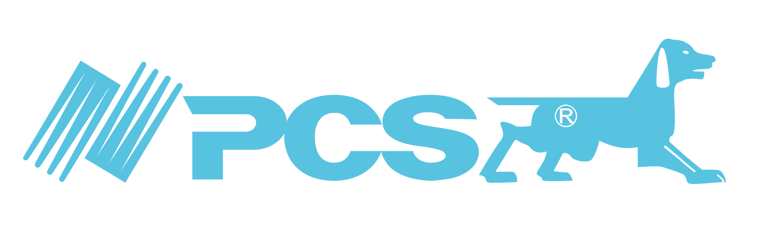 PCS Power Clipping System